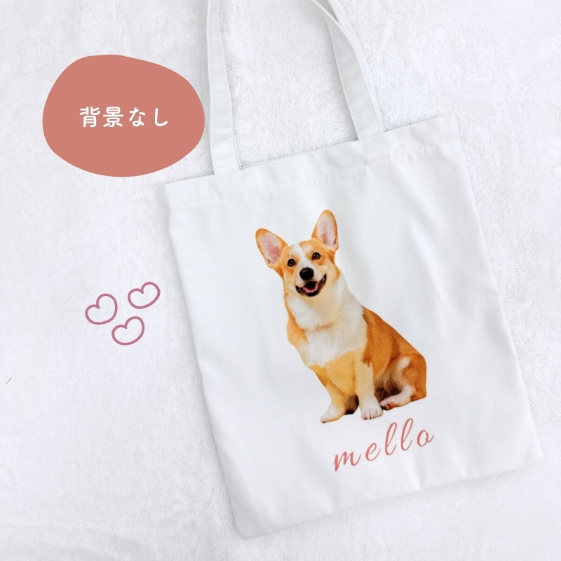 オリジナルお散歩バッグ