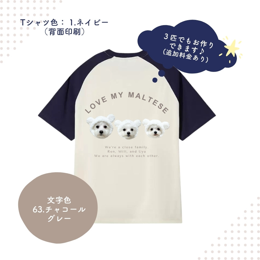 オリジナル ラグランTシャツ
