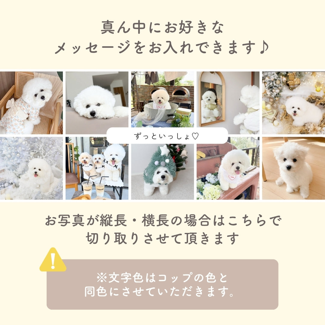 お写真10枚入りマグカップ