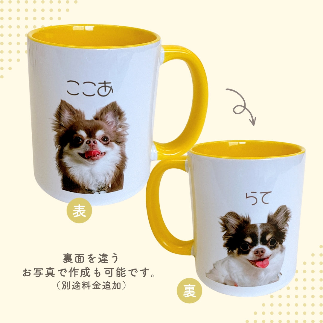 カラフル マグカップ