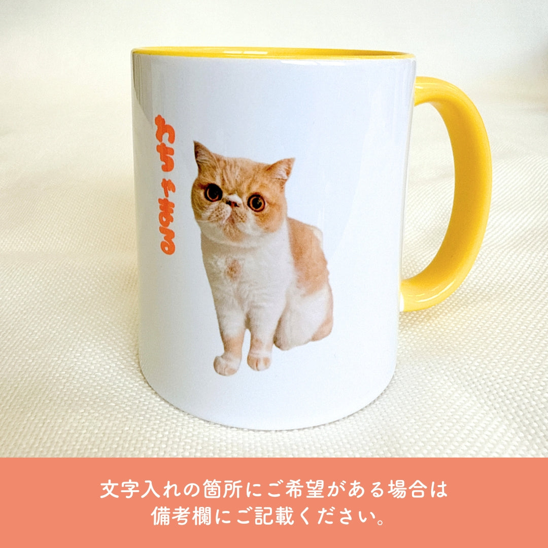 カラフル マグカップ