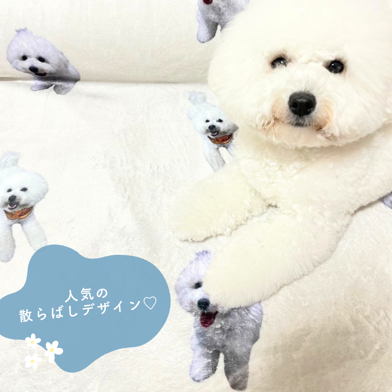 オリジナル ブランケット
