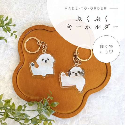 ぷくぷく アクリル キーホルダー