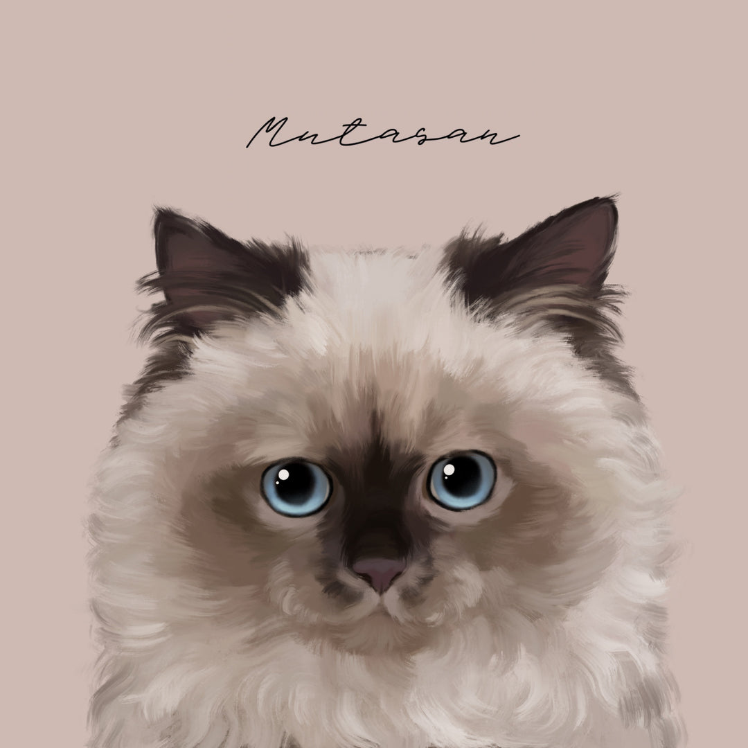 デジタルアート 似顔絵