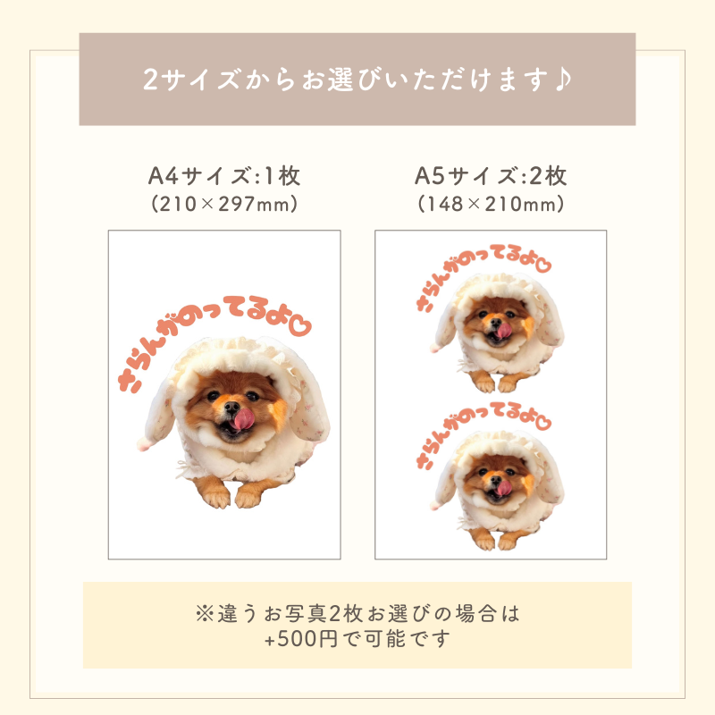 【即納】A4サイズ 防水 ステッカーシール