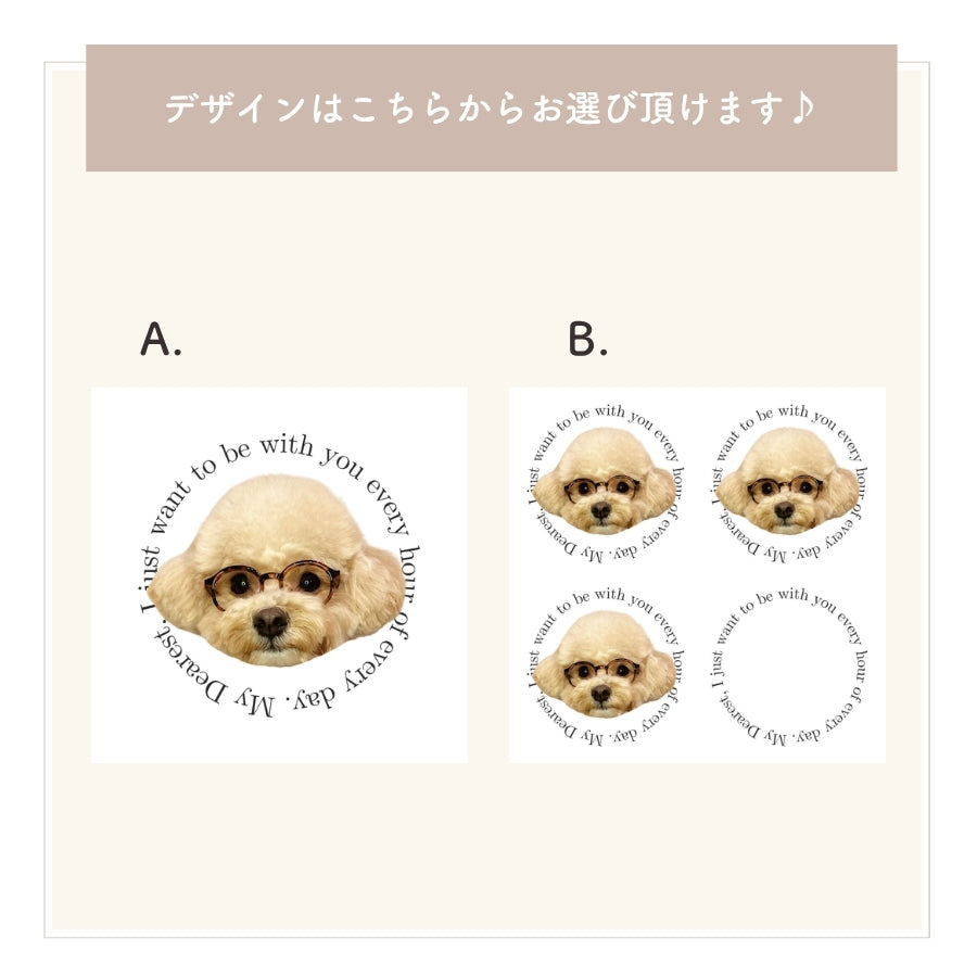 レタリング トレーナー