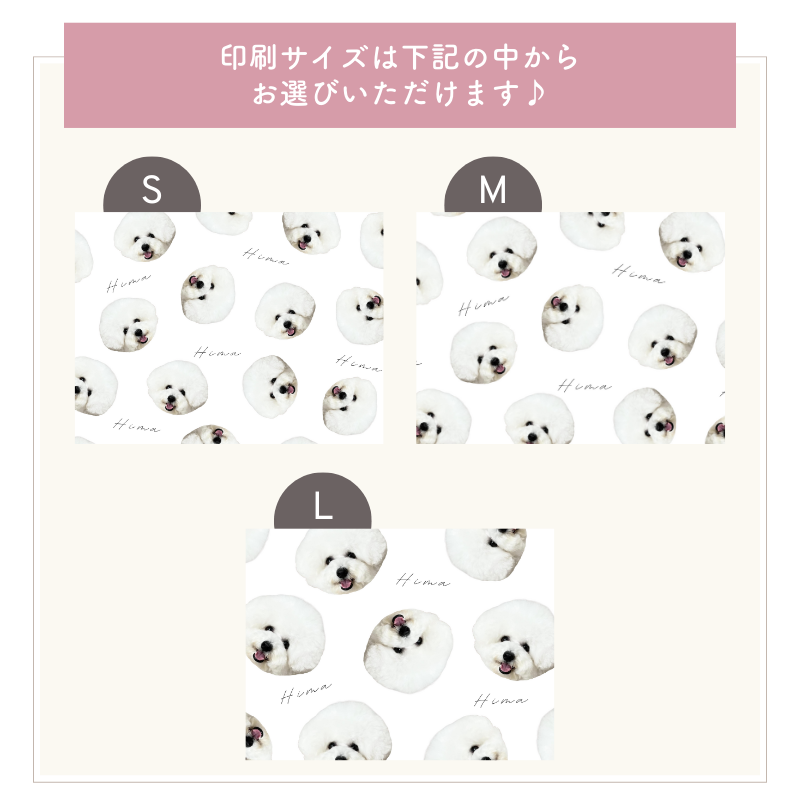 ランダム ブランケット