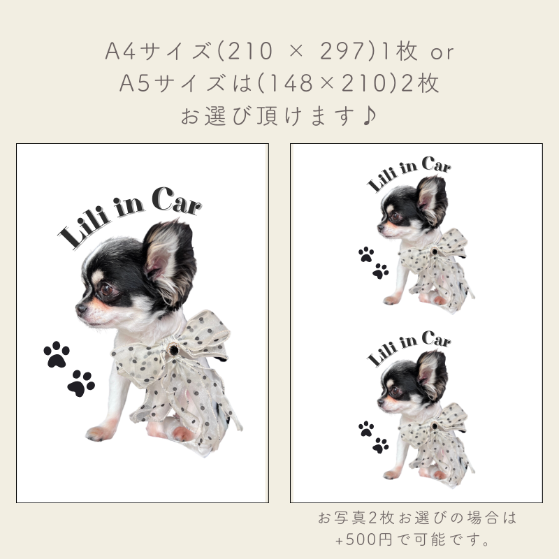 【即納】A4サイズ 防水 ステッカーシール