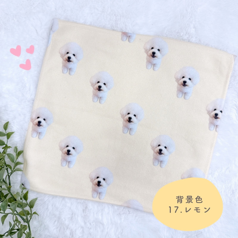 オリジナルタオル