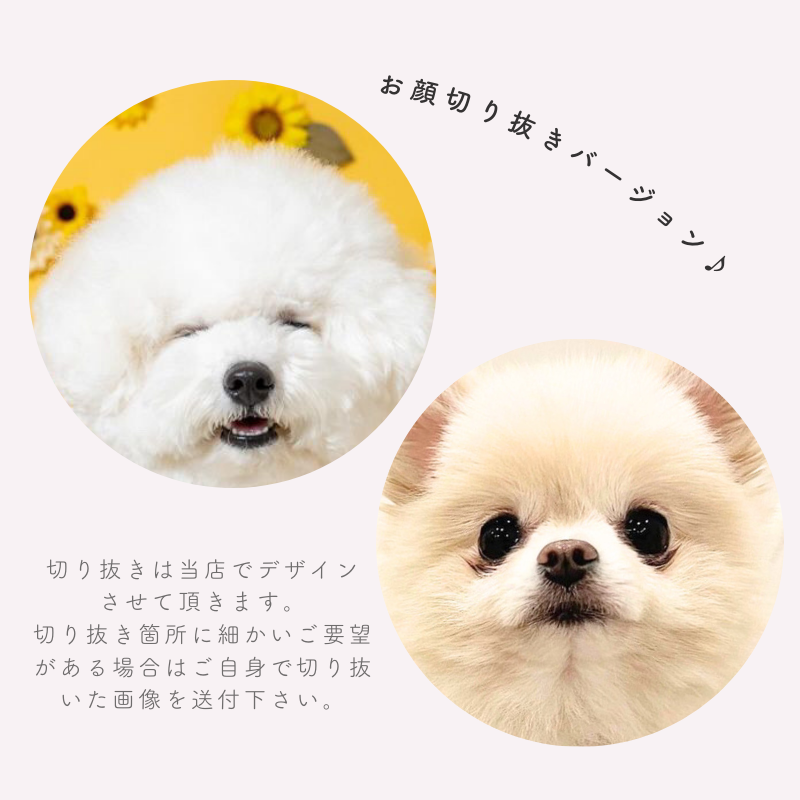 【即納】円形 ステッカーシール