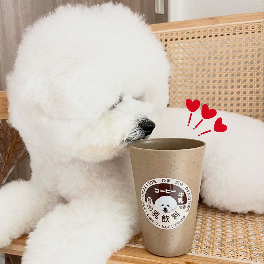 レトロデザイン コーヒータンブラー 290ml/480ml