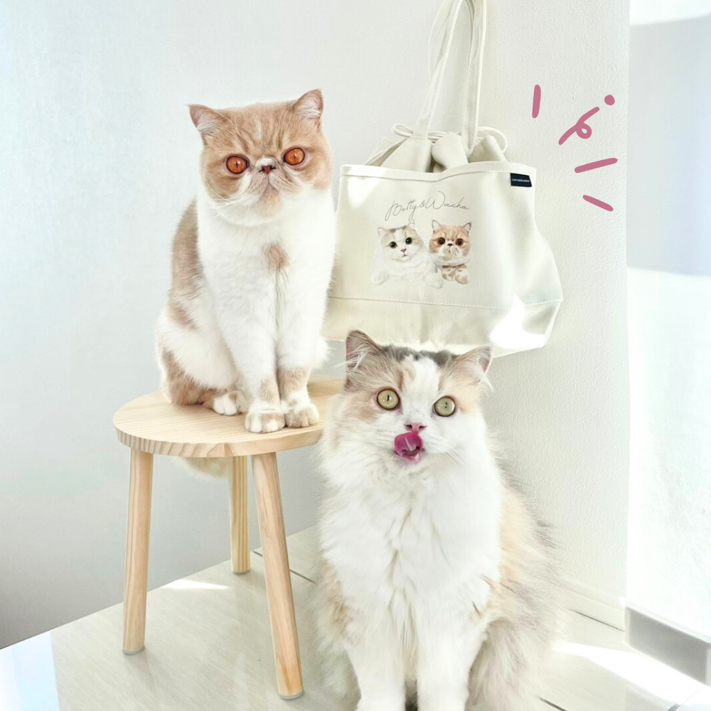 似顔絵バッグ