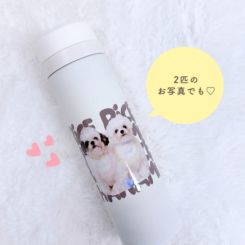 ポップデザイン サーモタンブラー 300ml/500ml