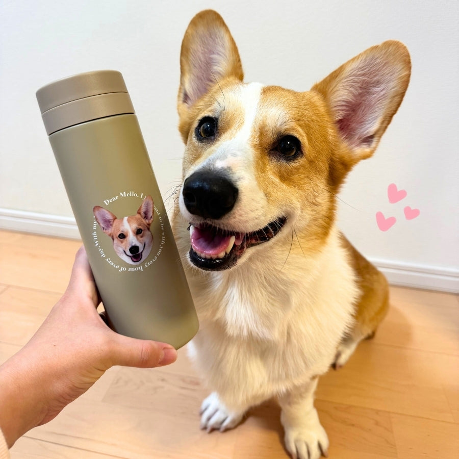 レタリング サーモタンブラー 300ml/500ml