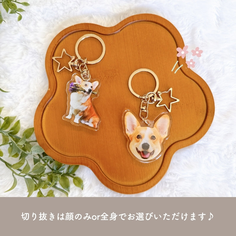 ぷくぷく アクリル キーホルダー