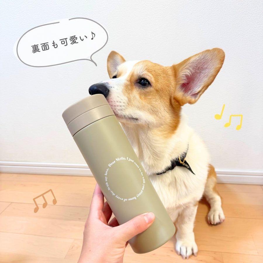 レタリング サーモタンブラー 300ml/500ml