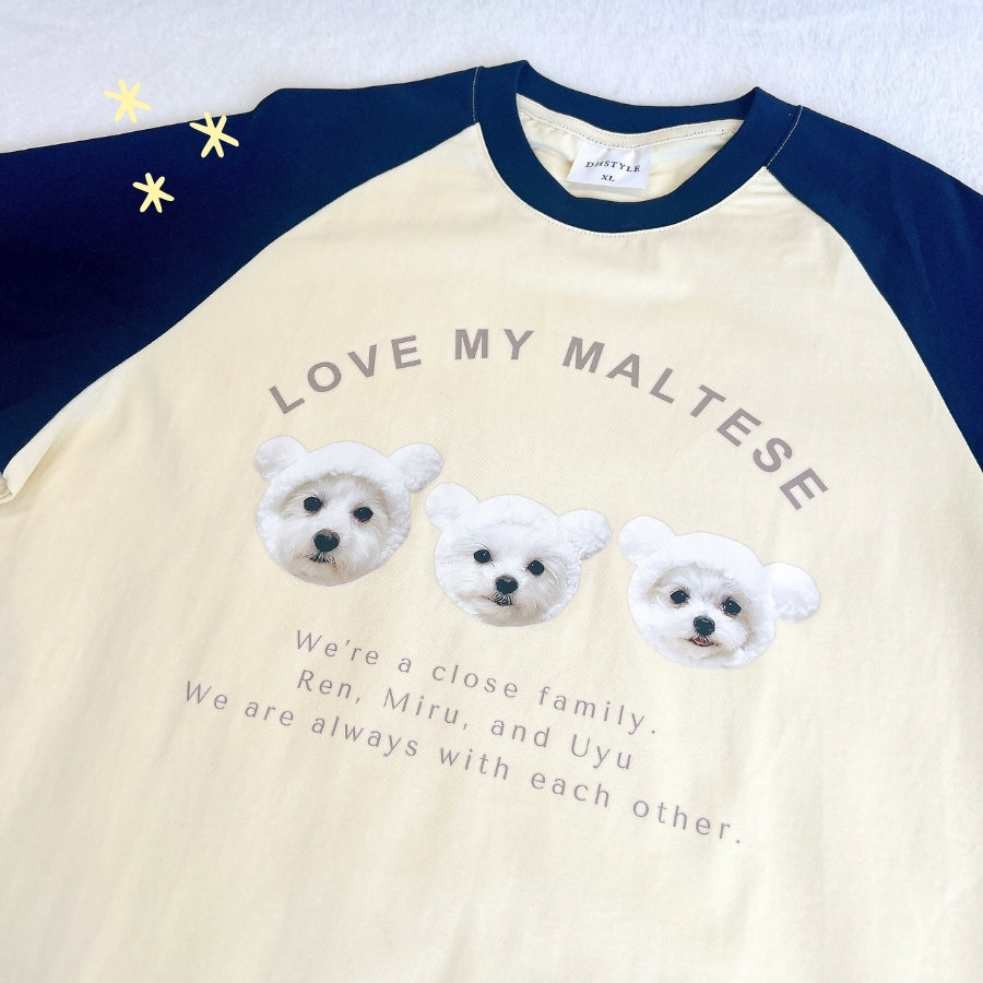 オリジナル ラグランTシャツ