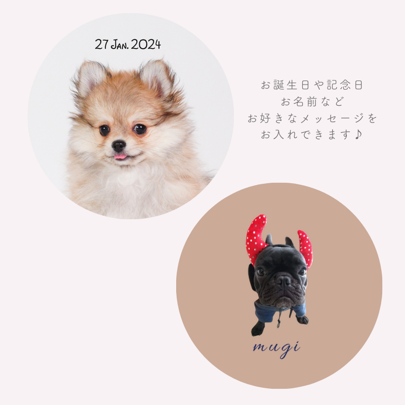 【即納】円形 ステッカーシール