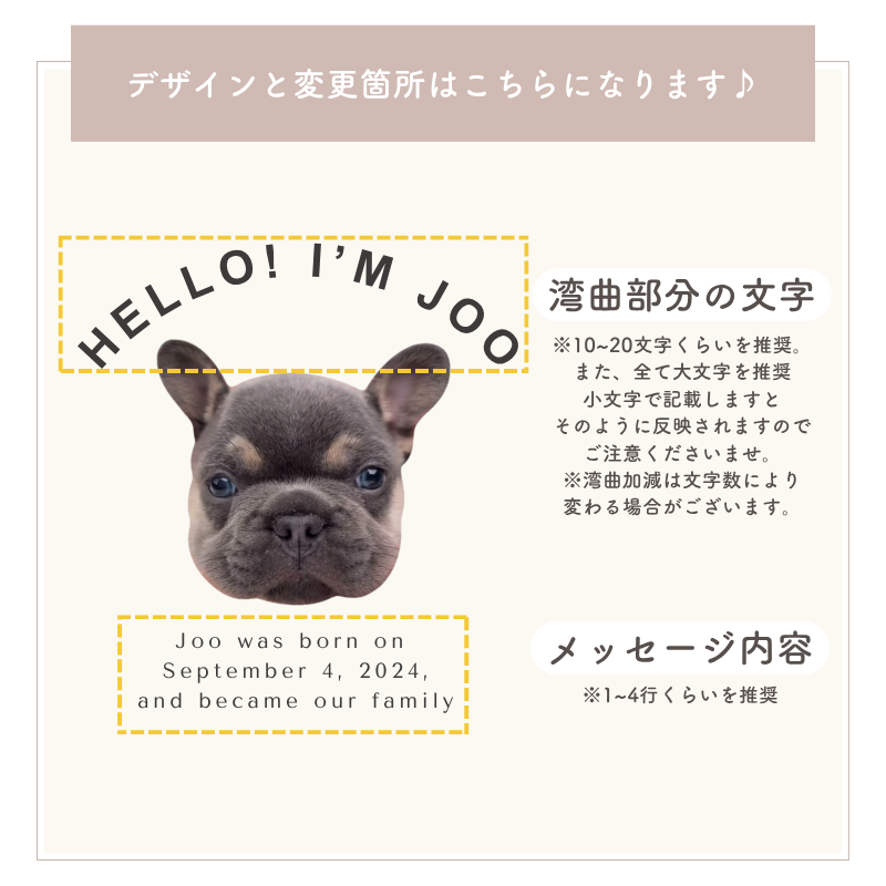 カーブデザイン ポーチ