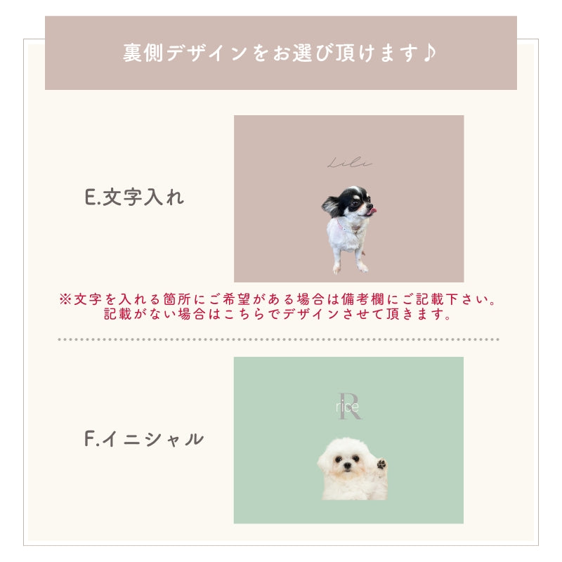 ポーチ