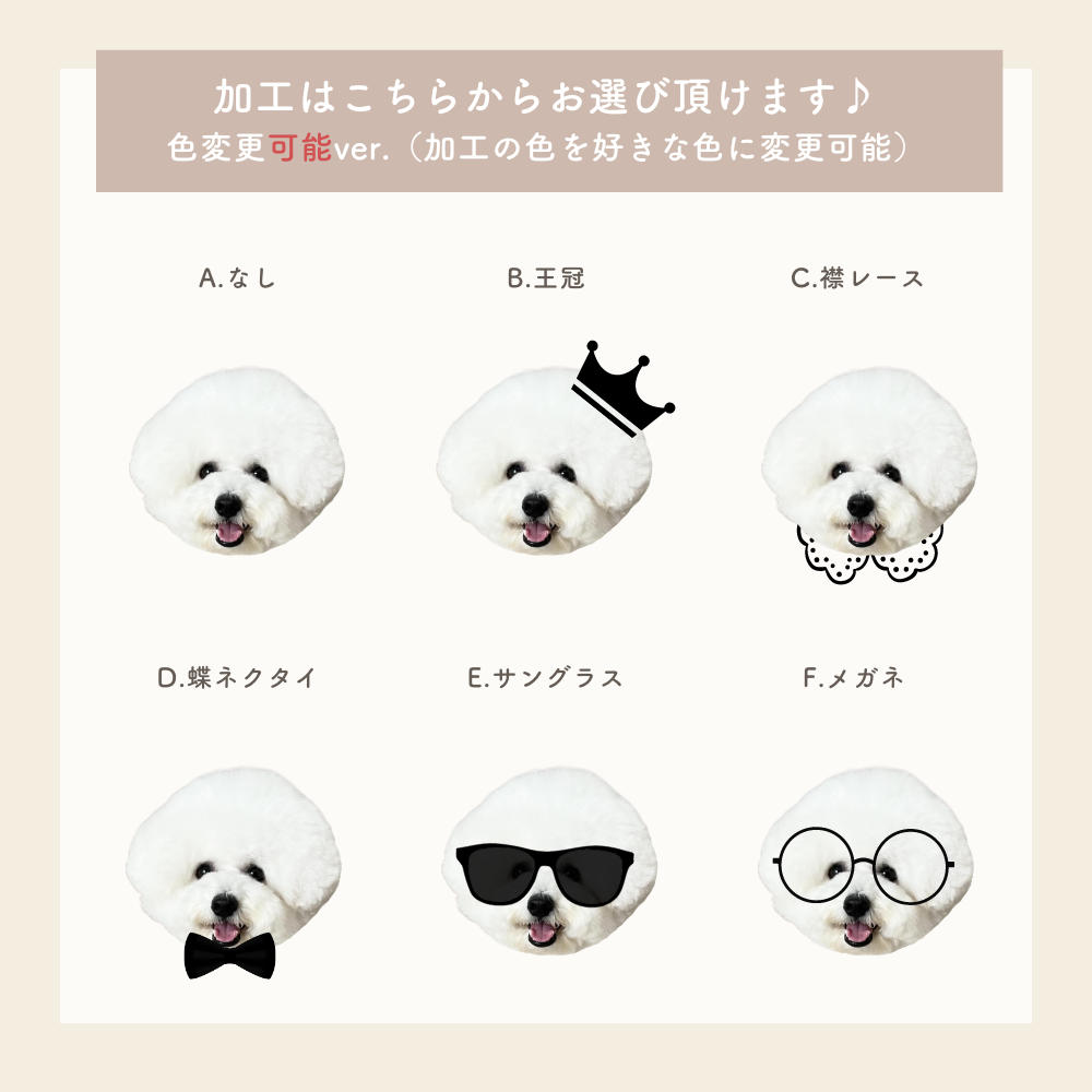 ランダム ブランケット