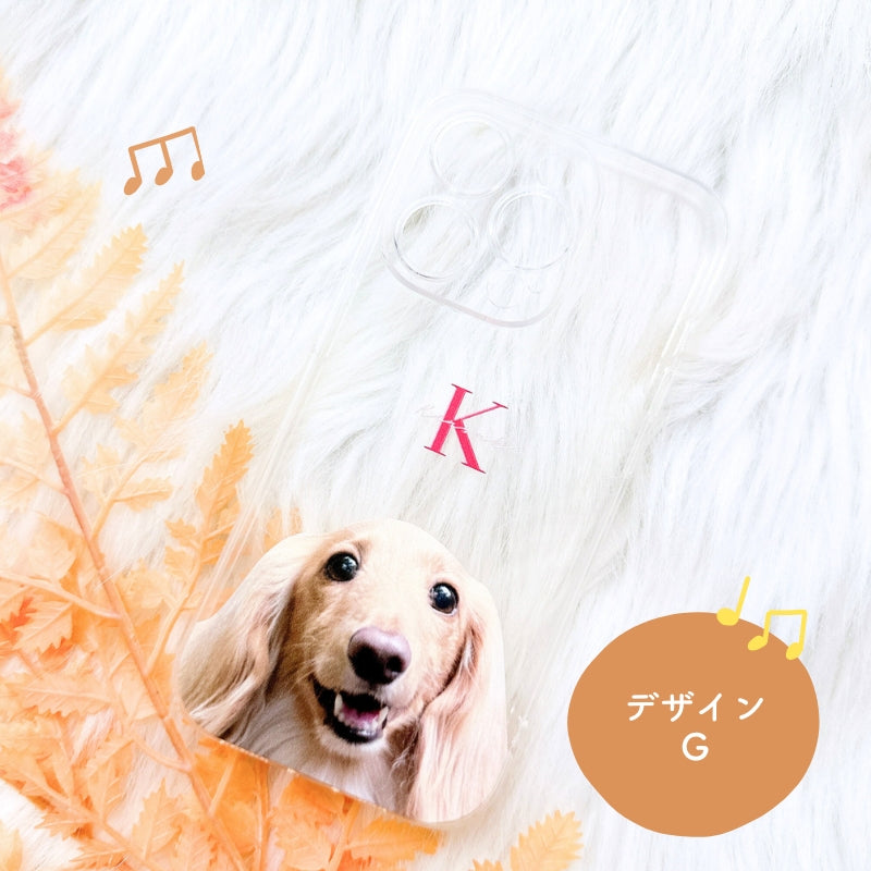 クリアケース