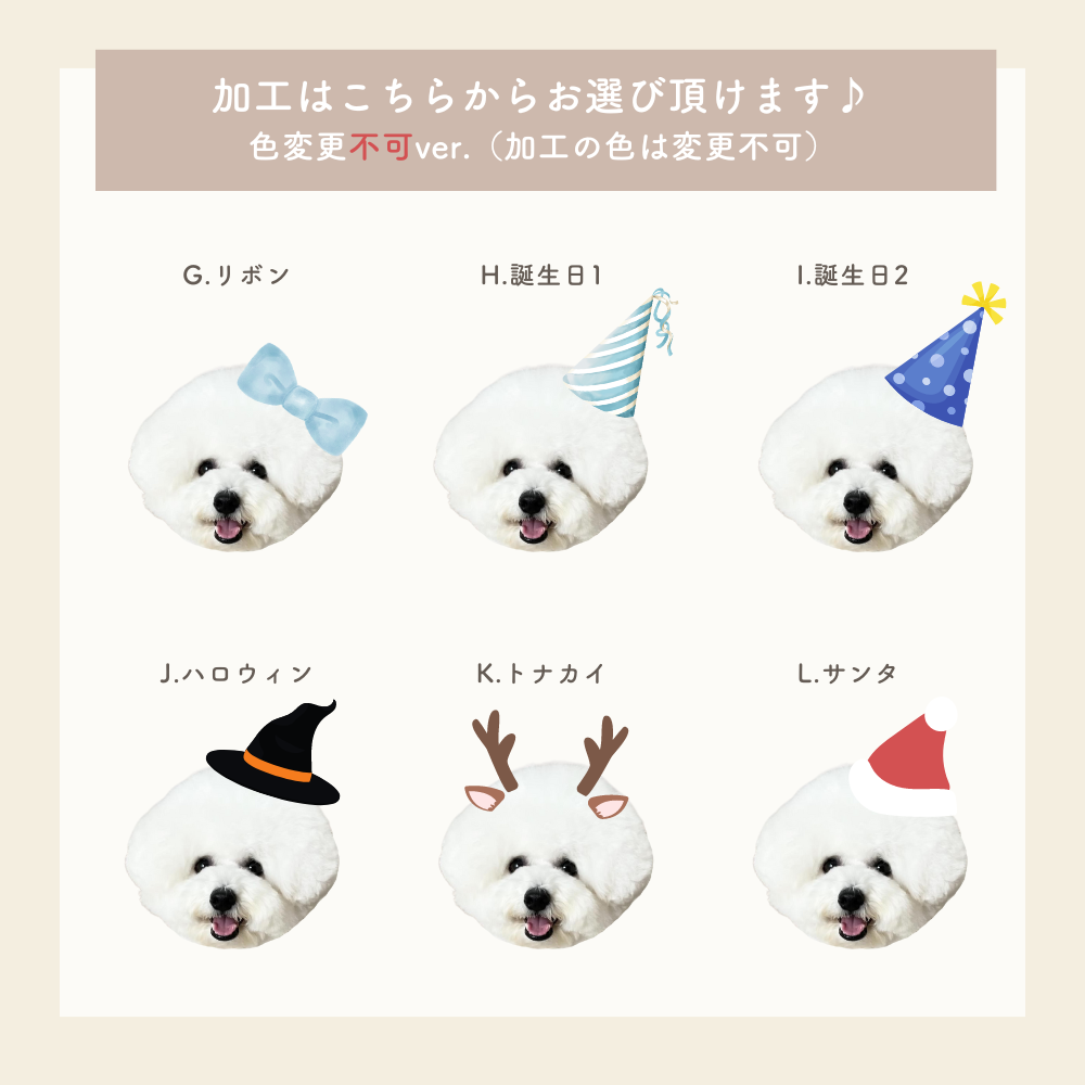 ランダム ブランケット