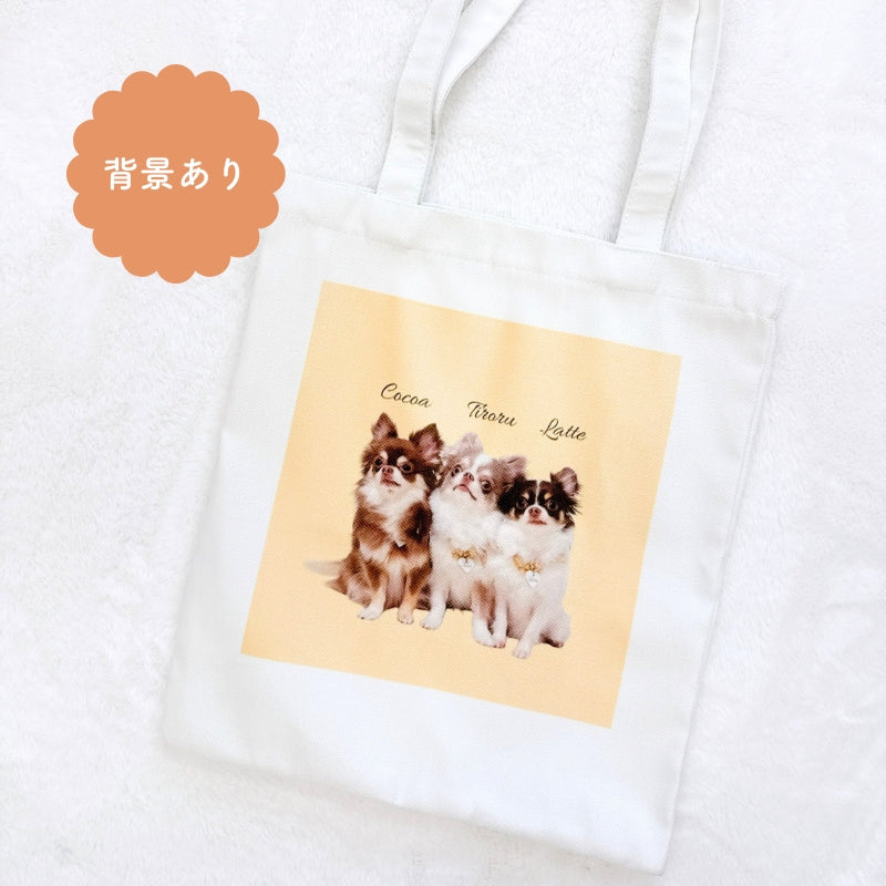 オリジナルお散歩バッグ