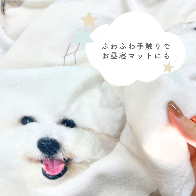 ランダム ブランケット