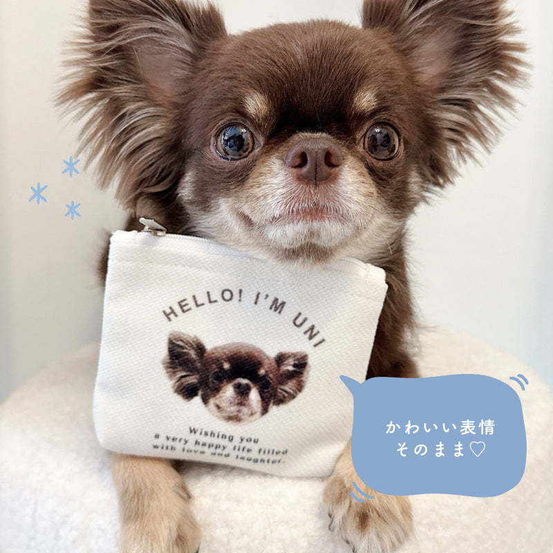 カーブデザイン ポーチ