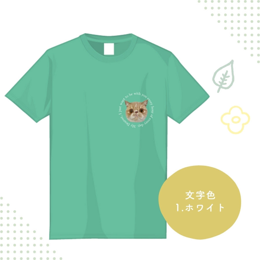 レタリング Tシャツ