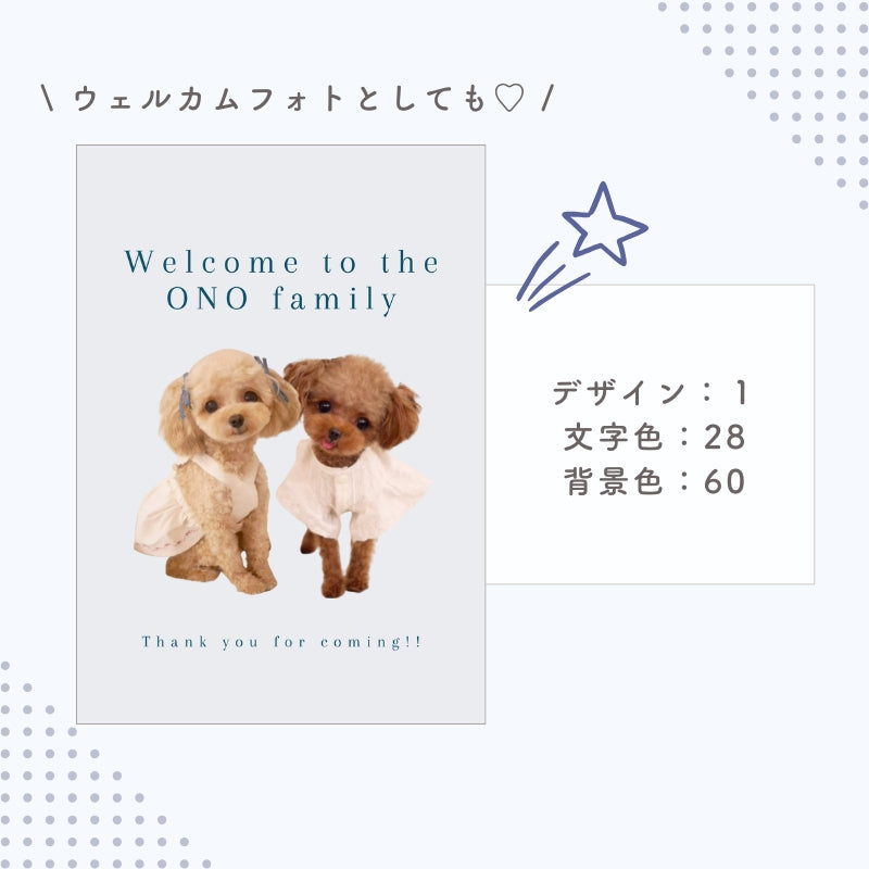 [In Stock] A4 Photo Plate