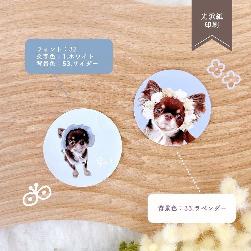 [In Stock] Circular Sticker