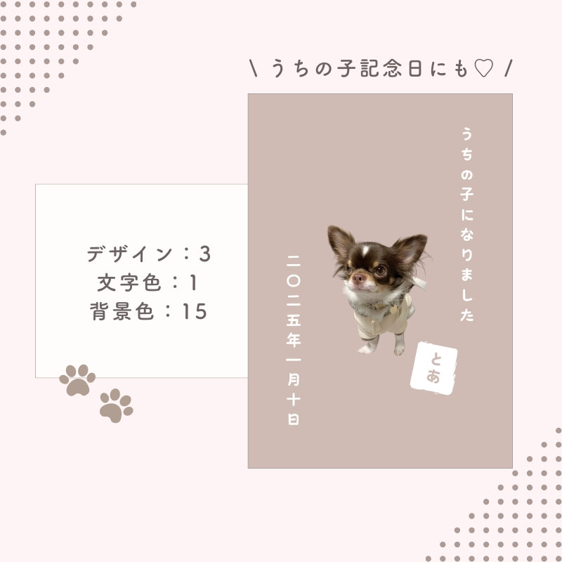 [In Stock] A4 Photo Plate