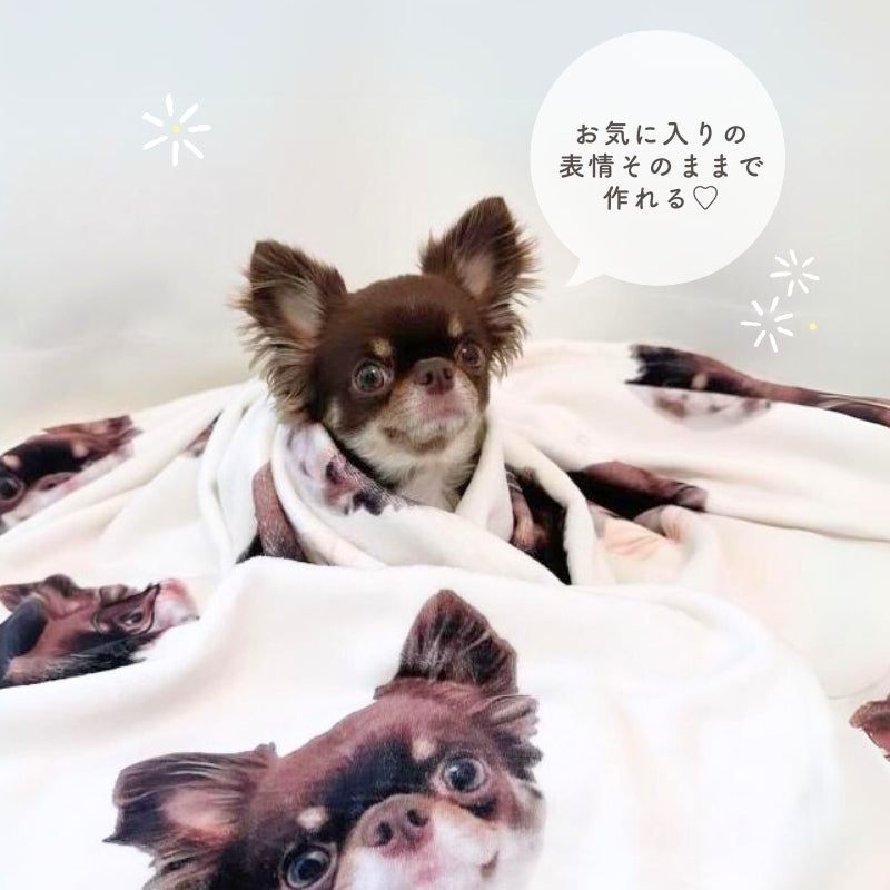 ランダム ブランケット