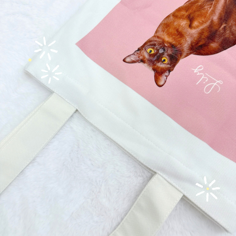 Original walking bag