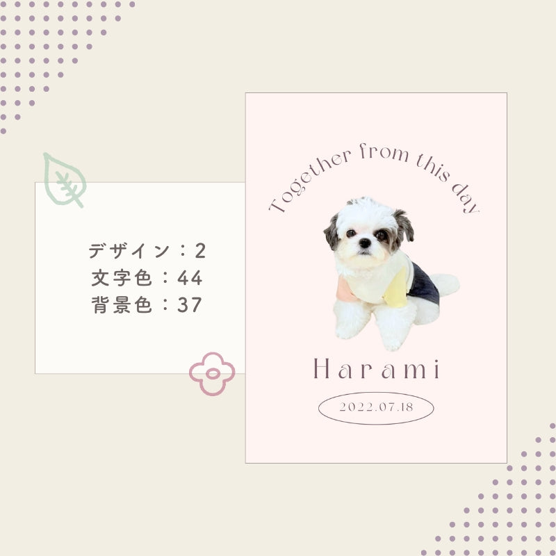 [In Stock] A4 Photo Plate