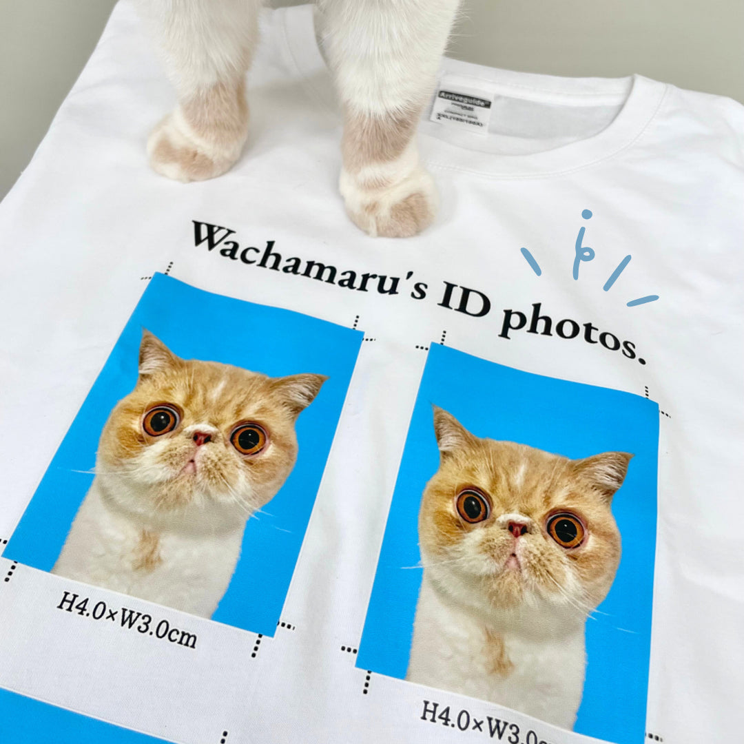 証明写真風Tシャツ