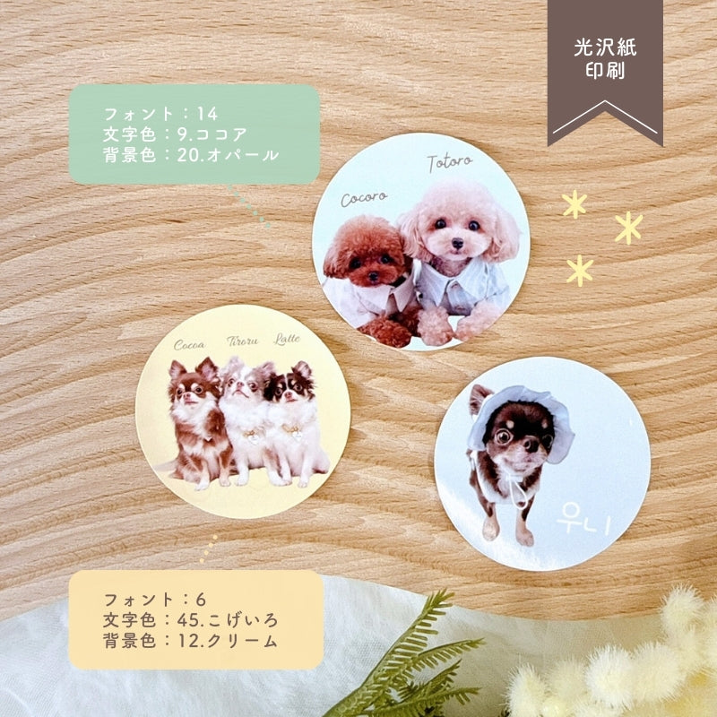 [In Stock] Circular Sticker