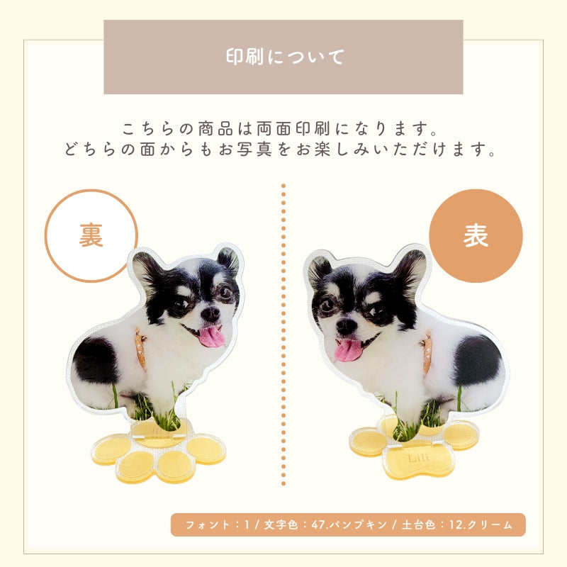 アクリルスタンド – RonRon. onlineshop
