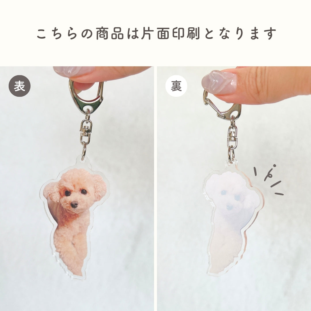 アクリルキーホルダー – RonRon. onlineshop
