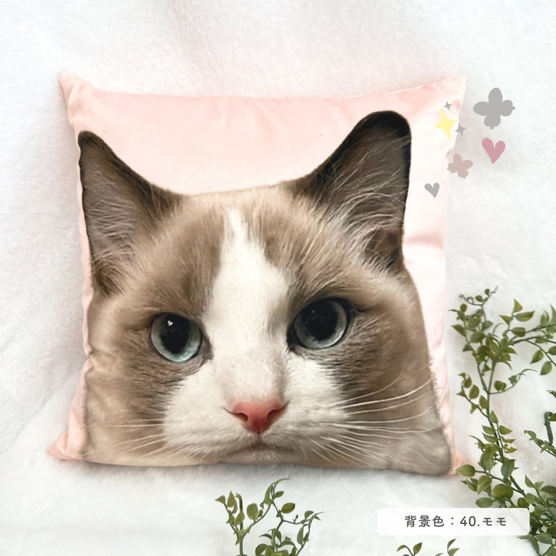 cushion cover