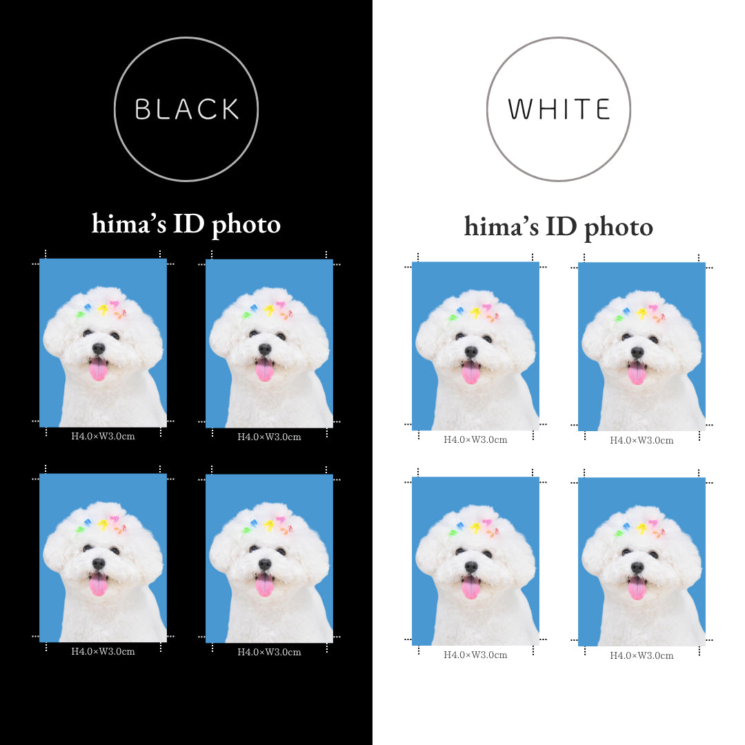 証明写真風Tシャツ