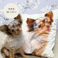 cushion cover