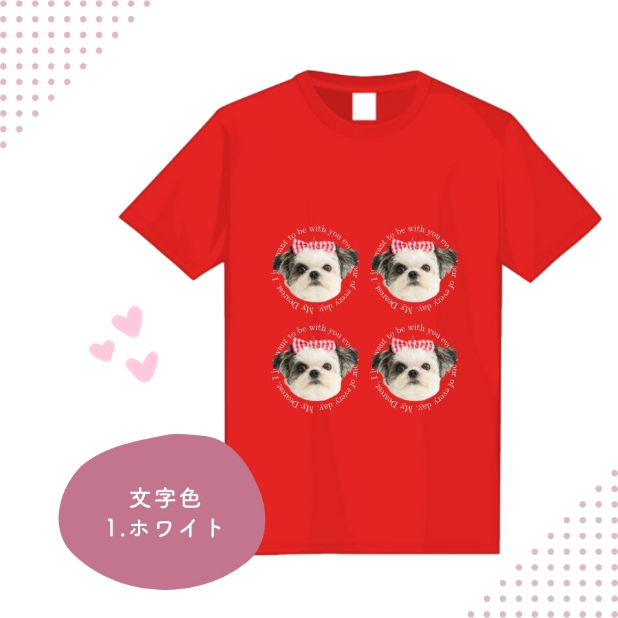 レタリング Tシャツ