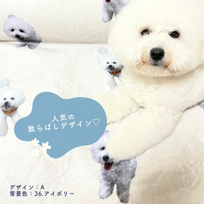 オリジナル ブランケット