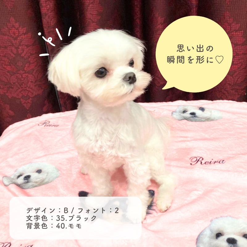 オリジナル ブランケット