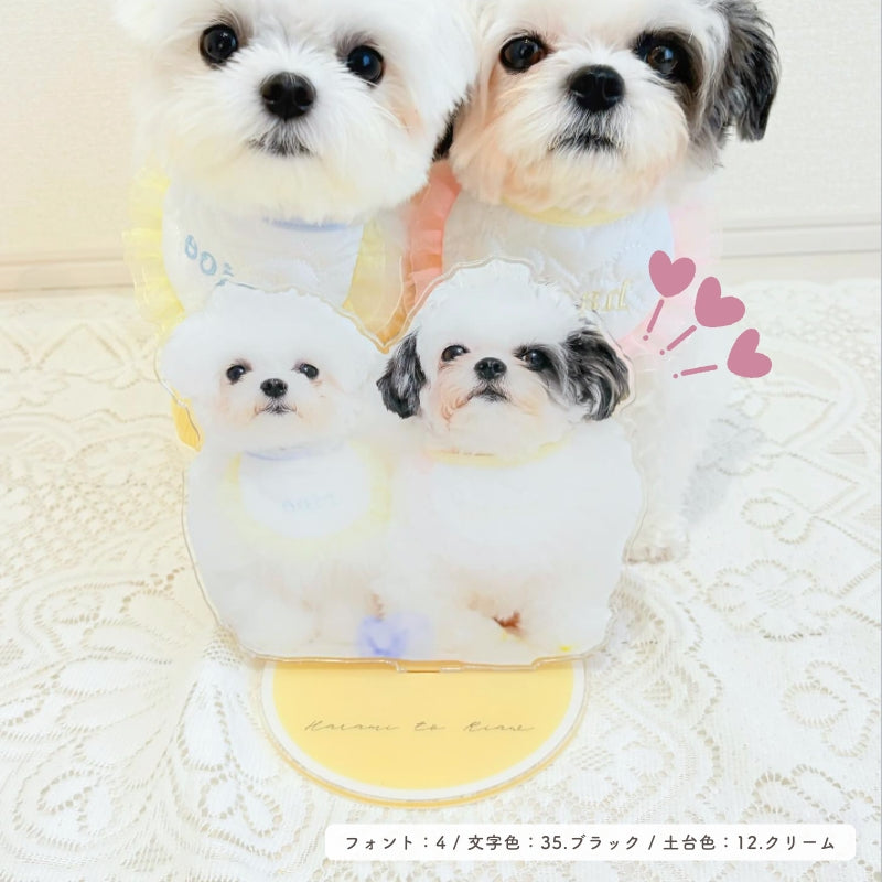 acrylic stand