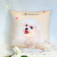 cushion cover