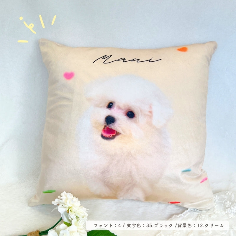 cushion cover